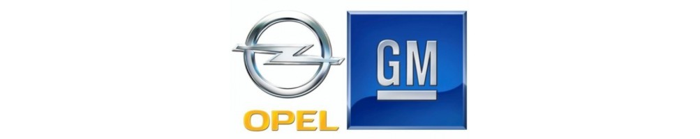 Scopri gli oli e lubrificanti Gm (Opel) al miglior prezzo